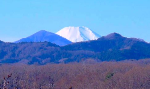 栃谷戸公園