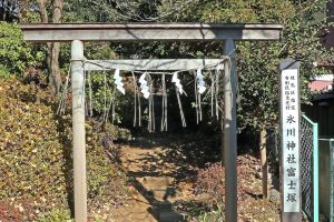 氷川神社富士塚（大松の富士塚）