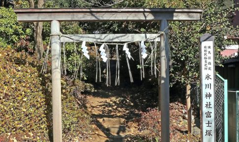 氷川神社富士塚（大松の富士塚）