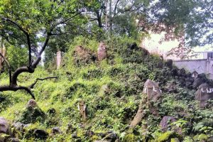 下谷坂本の富士塚（小野照崎神社）