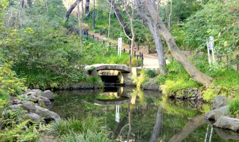 おとめ山公園