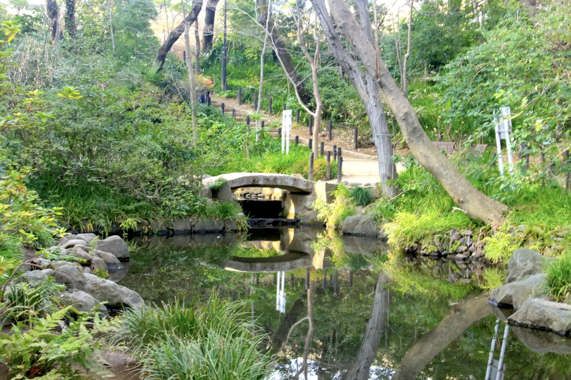 おとめ山公園 東京とりっぷ