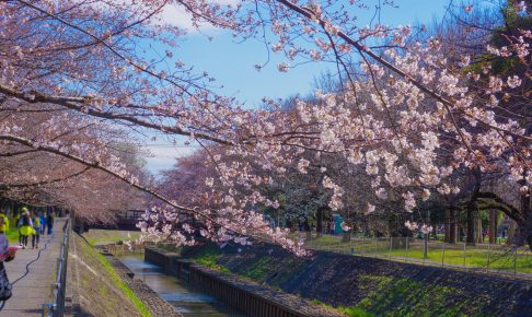 善福寺川緑地