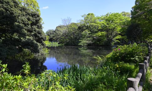 和田堀公園