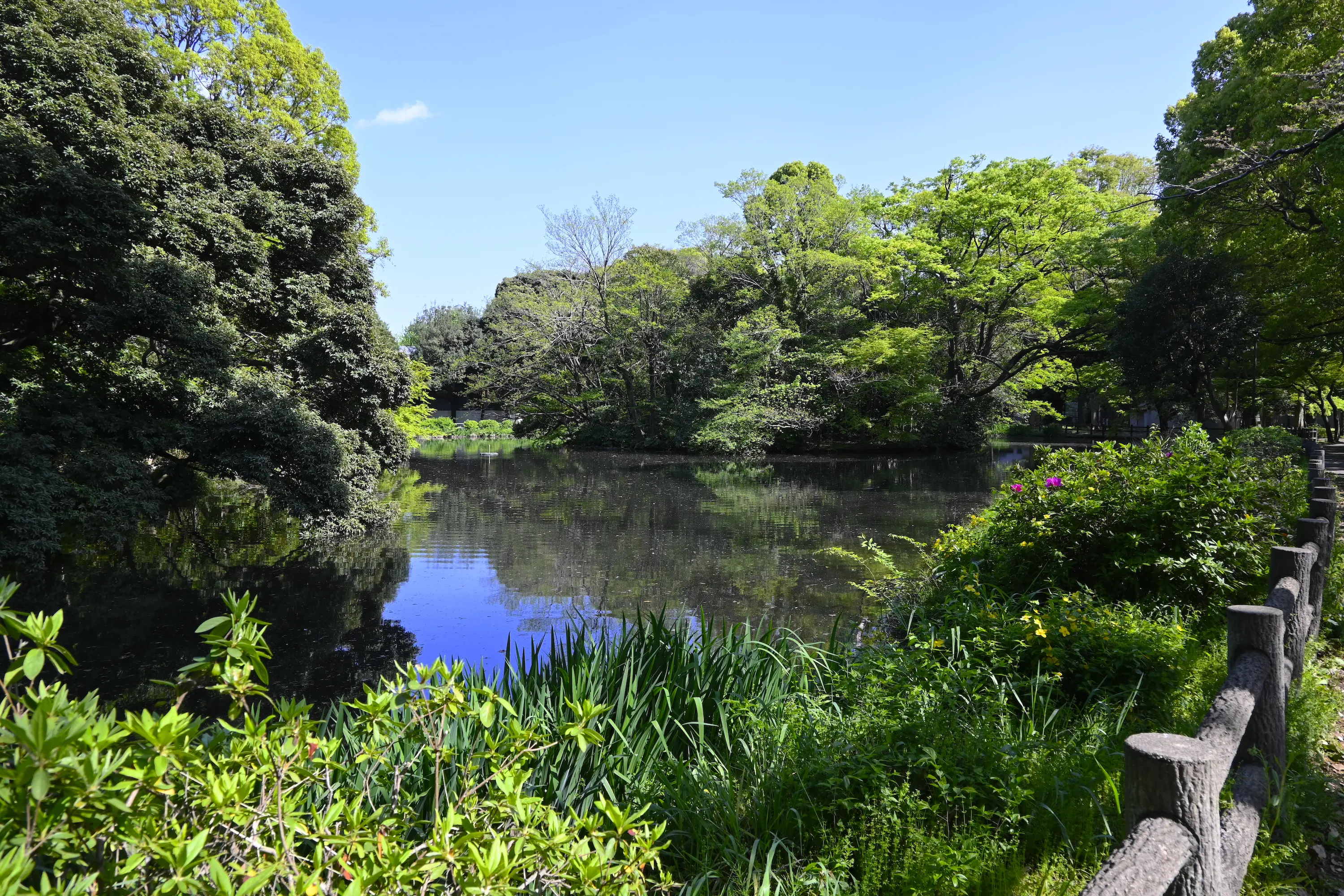 都立 販売済み 和田 堀 公園 バス