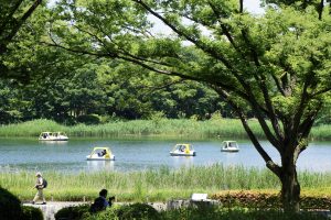 国営昭和記念公園・ボート池