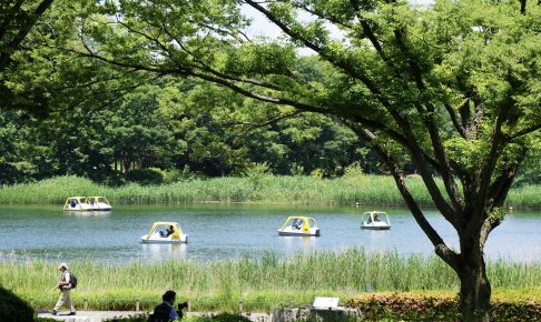 国営昭和記念公園・ボート池