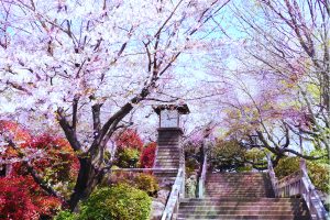 飛鳥山公園