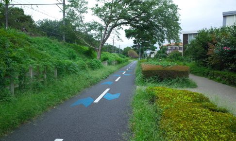 多摩湖自転車歩行者道