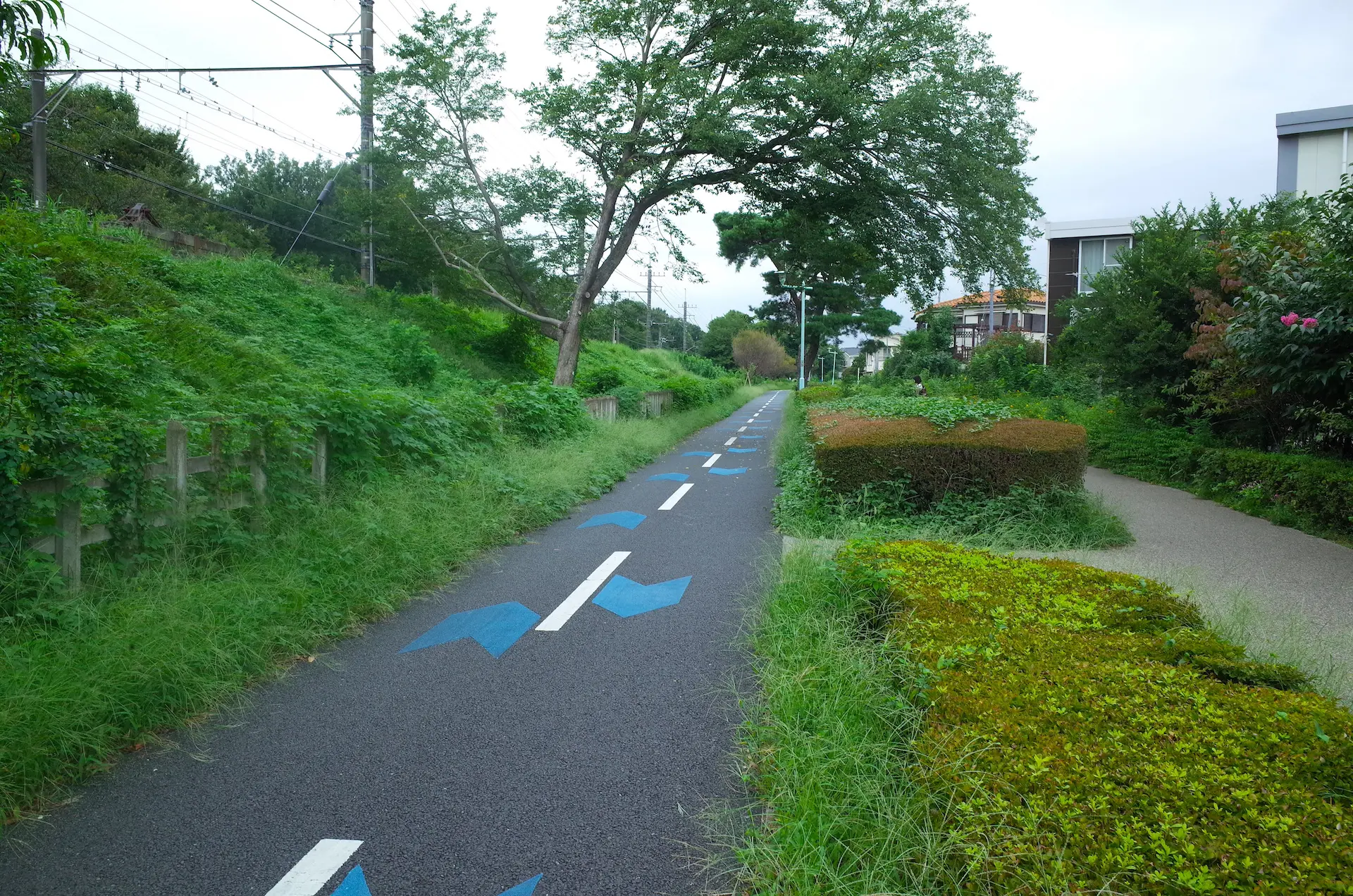 多摩湖自転車歩行者道 東京とりっぷ