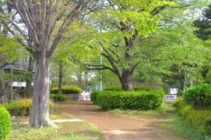 堀合遊歩道