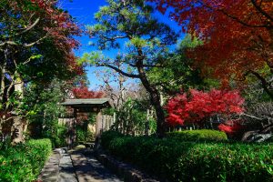 府中市郷土の森博物館