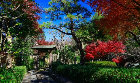 府中市郷土の森博物館