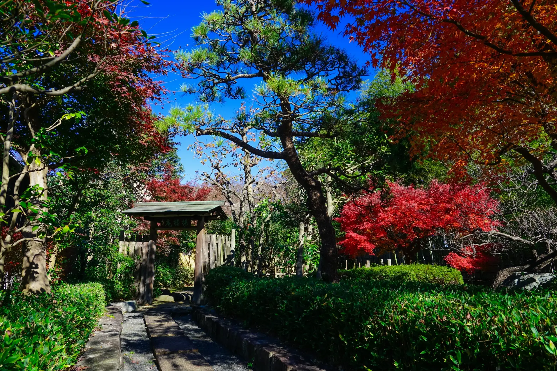 府中市郷土の森博物館 | 東京とりっぷ