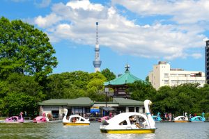 上野恩賜公園・不忍池ボート場