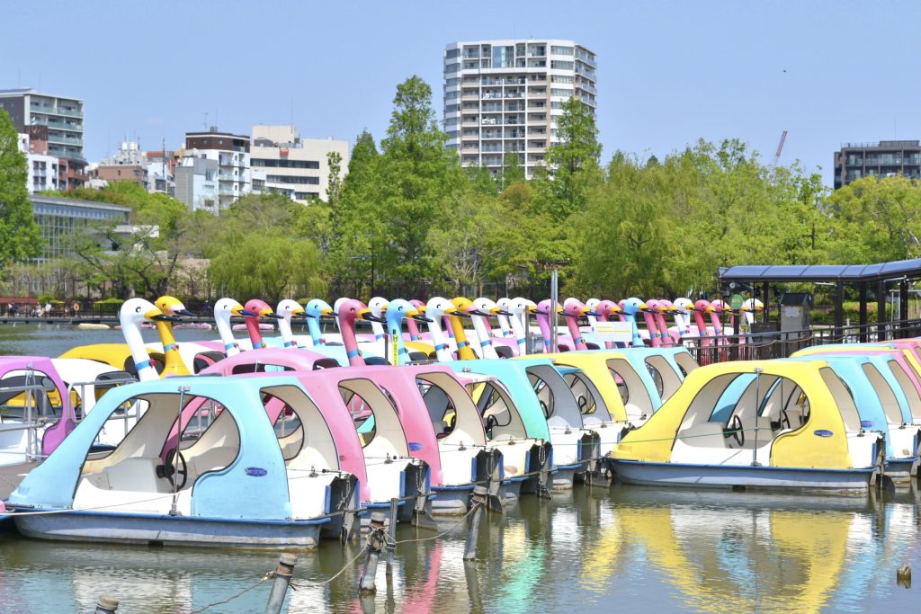 上野恩賜公園・不忍池ボート場 東京とりっぷ