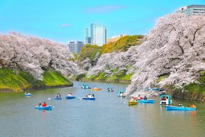 千鳥ヶ淵ボート場