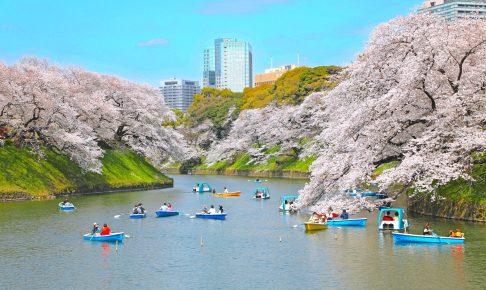 千鳥ヶ淵ボート場