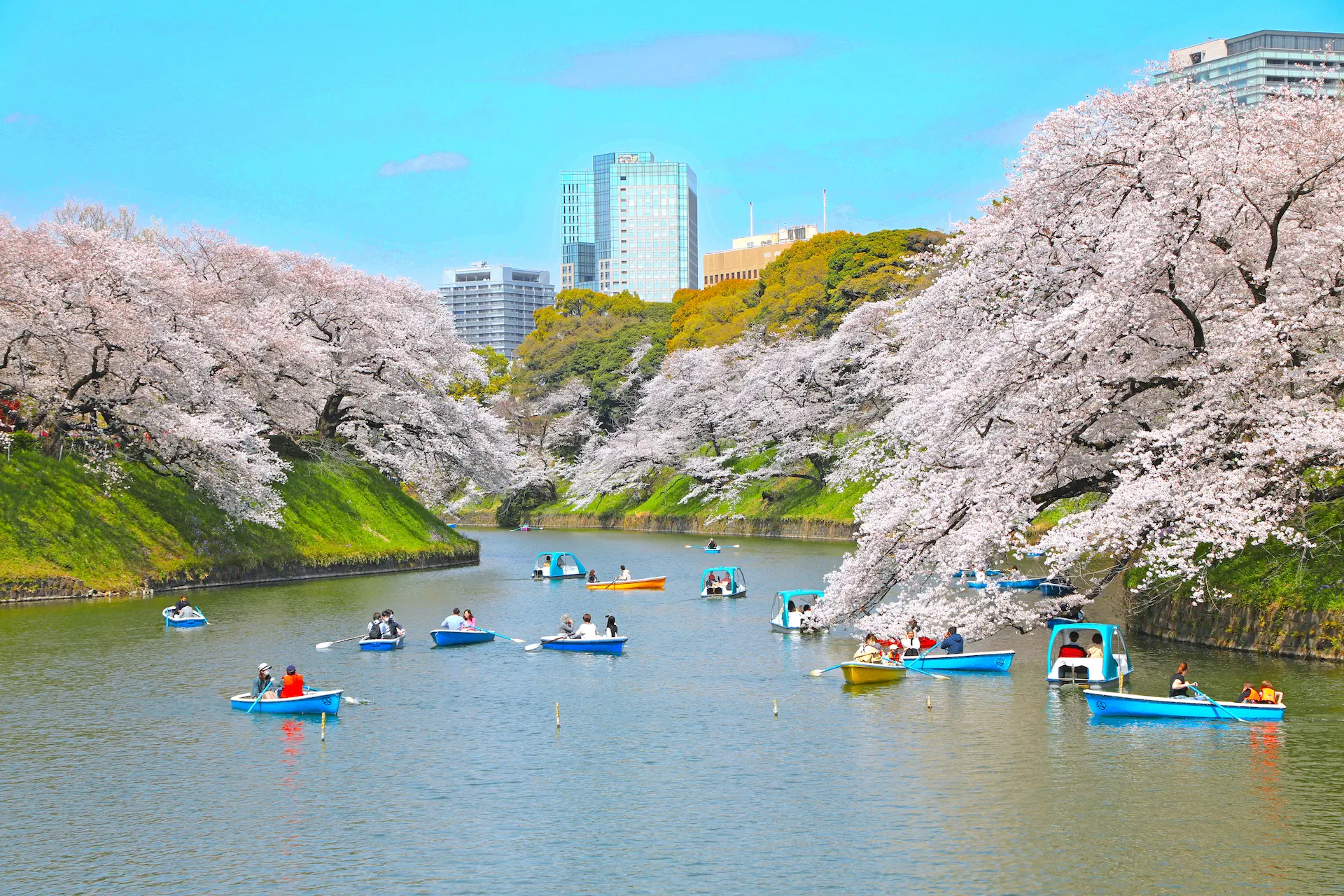 千鳥ヶ淵ボート場 東京とりっぷ