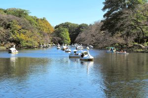 井の頭恩賜公園・ボート場