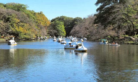 井の頭恩賜公園・ボート場