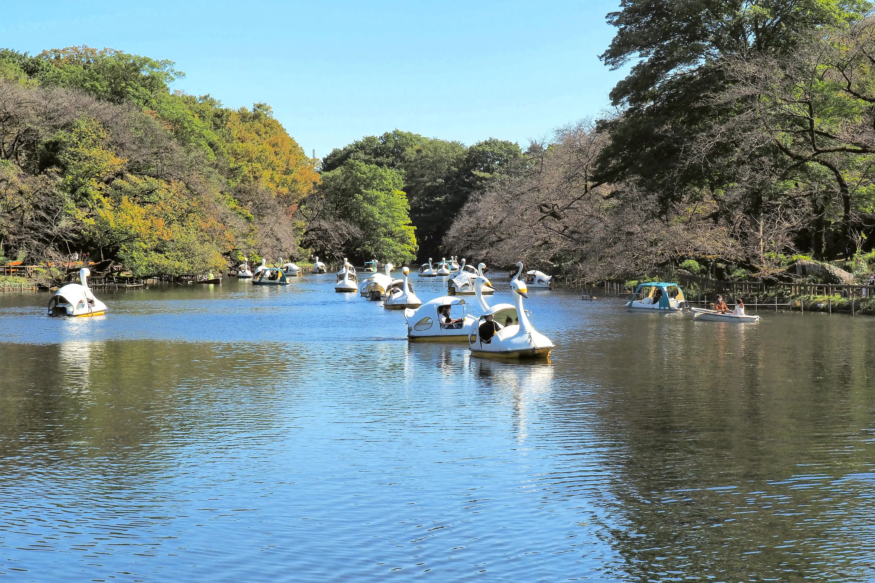 井の頭恩賜公園 ボート場 東京とりっぷ