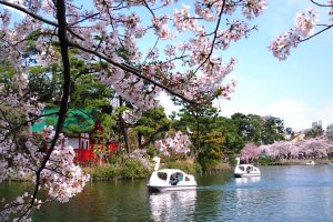 洗足池公園・ボート乗り場