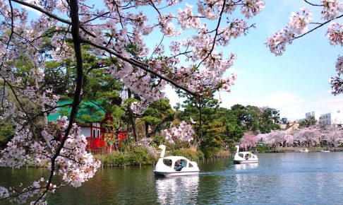 洗足池公園・ボート乗り場