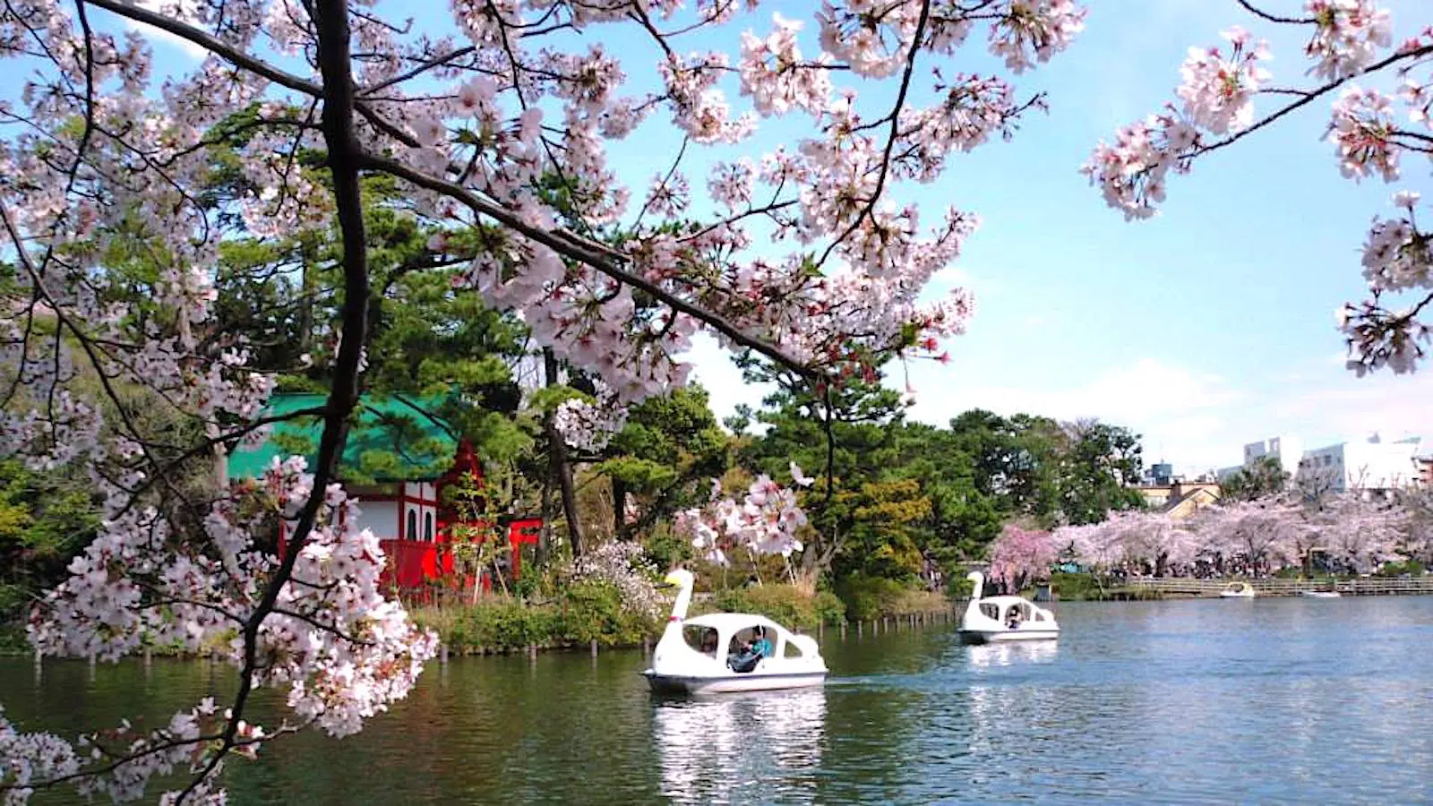 洗足池公園 ボート乗り場 東京とりっぷ