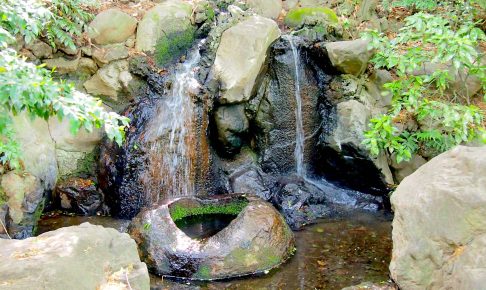 善福寺公園・遅の井の滝