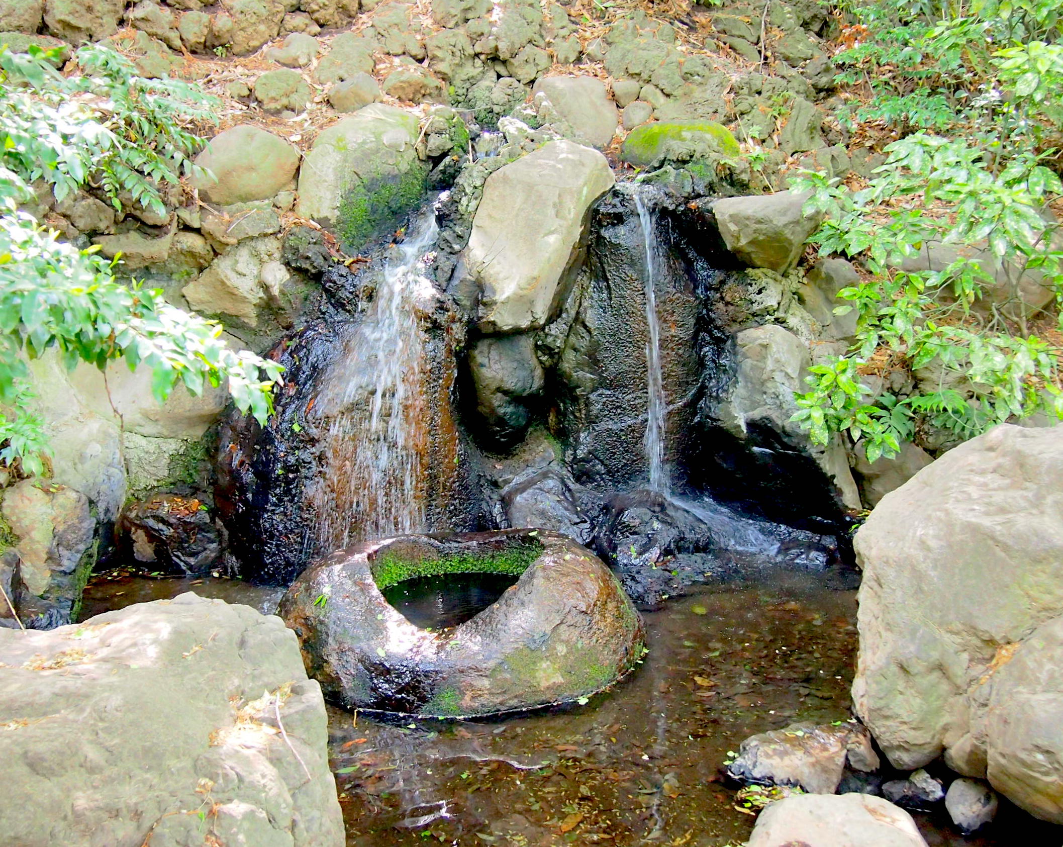 善福寺公園・遅の井の滝