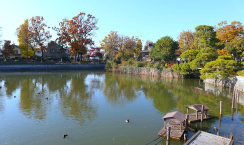 碑文谷公園