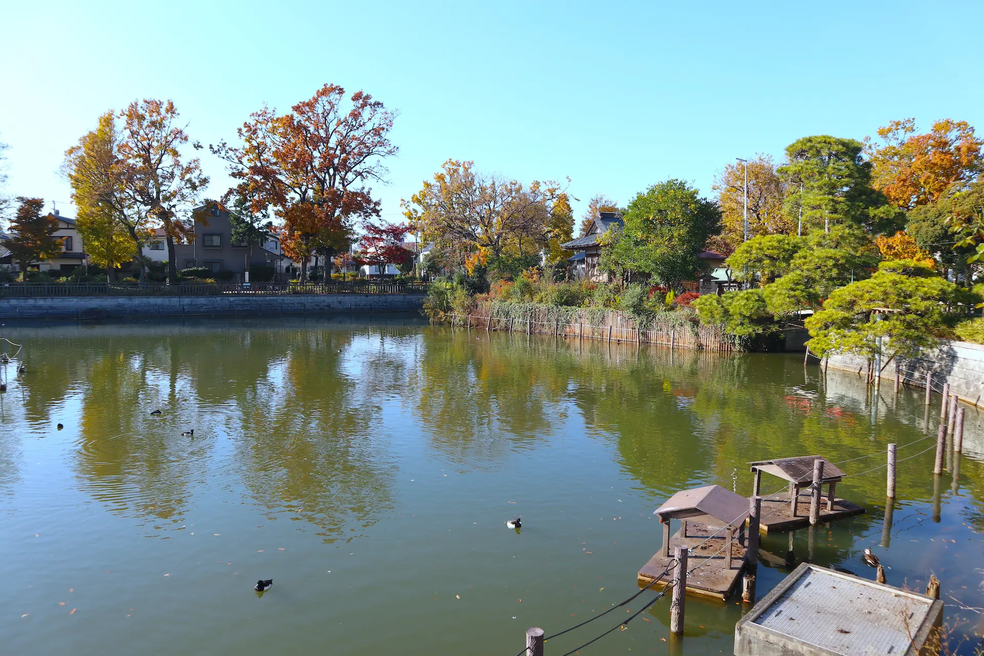 碑文谷公園 東京とりっぷ