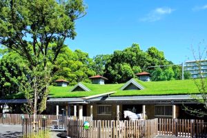 板橋こども動物園