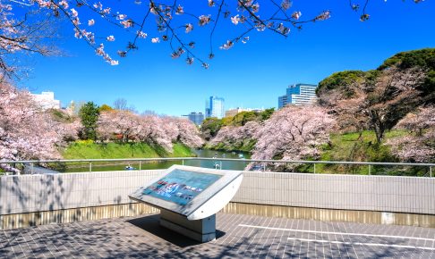 千鳥ヶ淵ボート場展望台