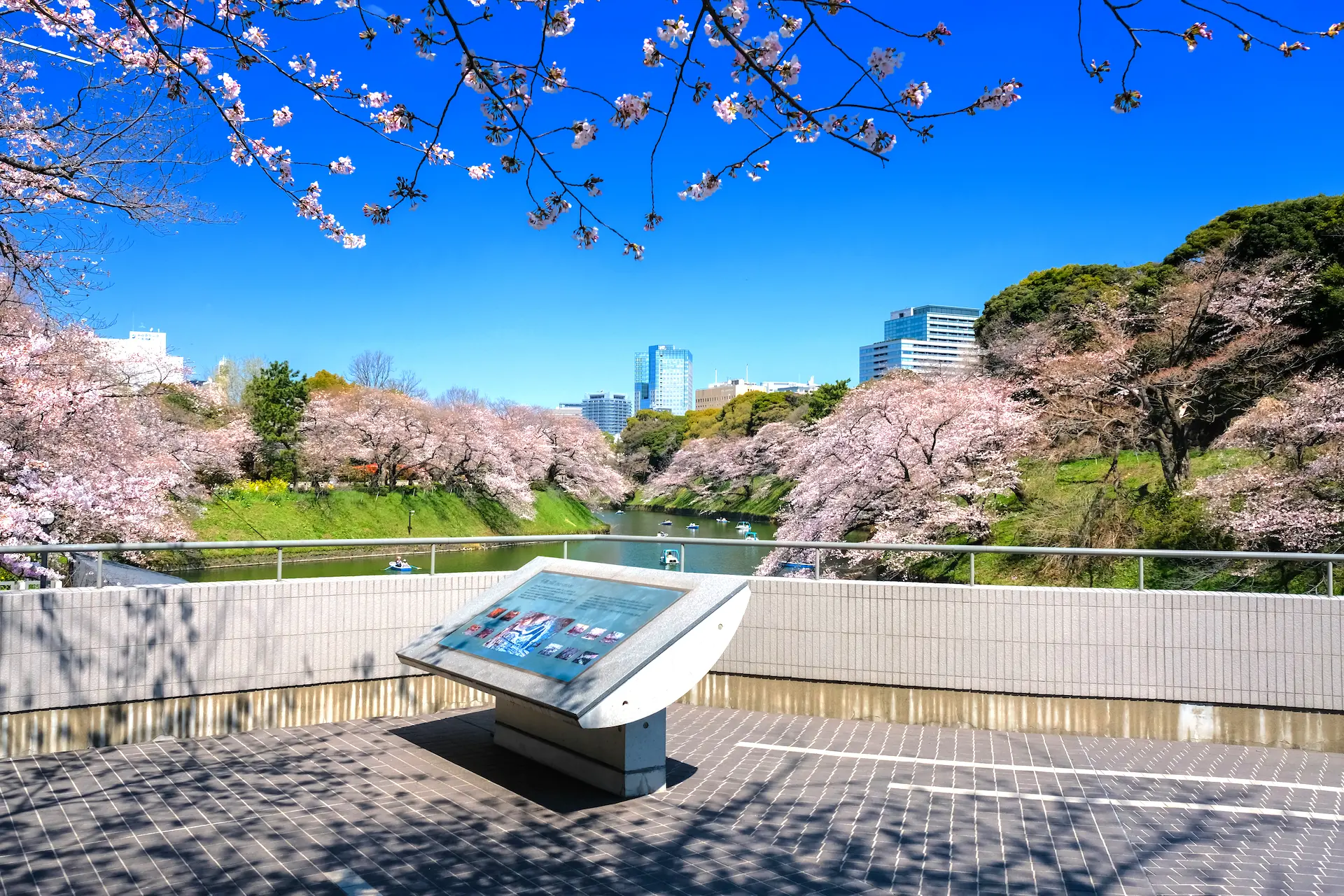 千鳥ヶ淵ボート場展望台 東京とりっぷ