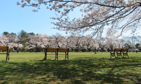 小金井公園