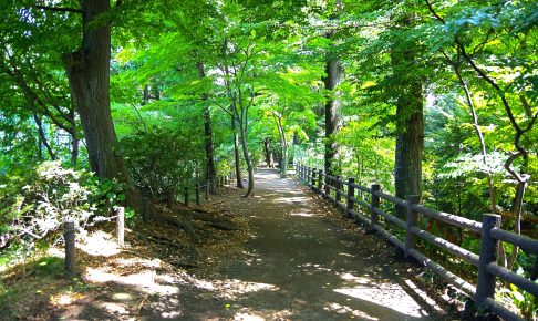 玉川上水緑道