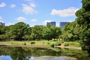 北の丸公園