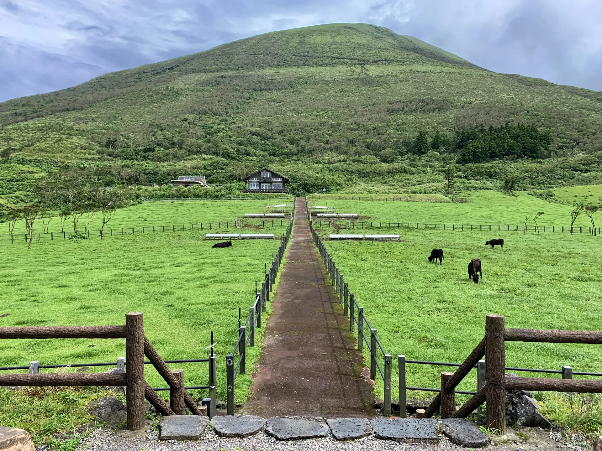 八丈富士 東京とりっぷ