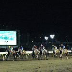 大井競馬場