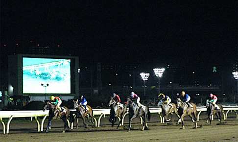 大井競馬場