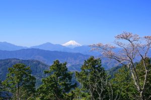 高尾山・一丁平