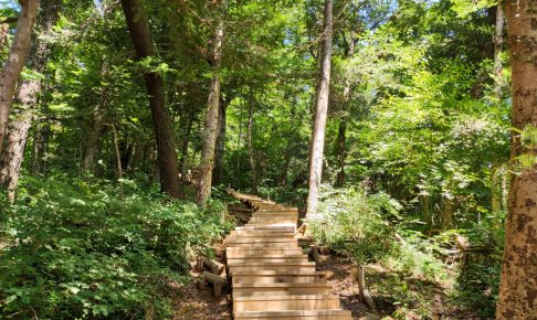 高尾山自然研究路6号路（琵琶滝コース）