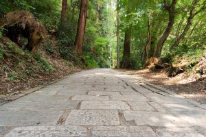 高尾山自然研究路1号路（表参道コース）