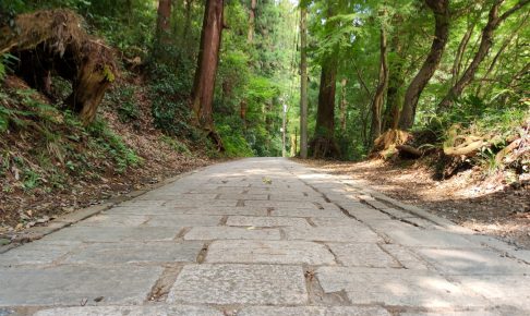 高尾山自然研究路1号路（表参道コース）