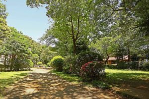 飛鳥山公園・旧渋沢庭園