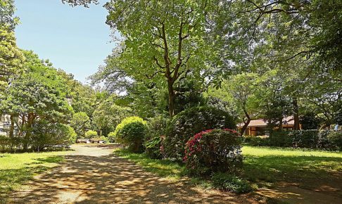 飛鳥山公園・旧渋沢庭園