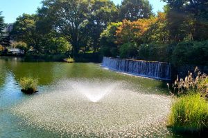 武蔵国分寺公園