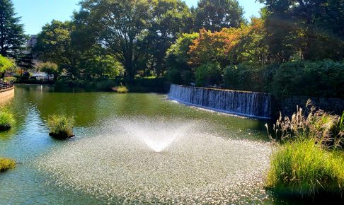 武蔵国分寺公園